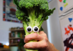 Mr Tim - The Broccoli Song